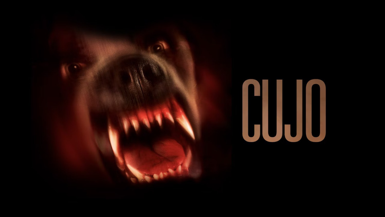 Cujo