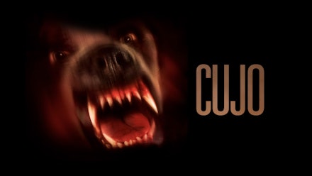 Cujo