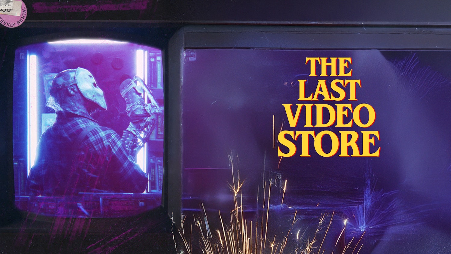 The Last Video Store