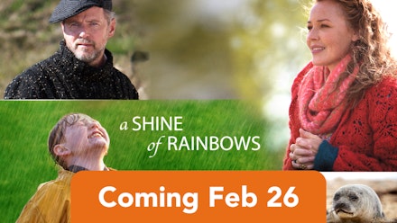 Shine of Rainbows; A