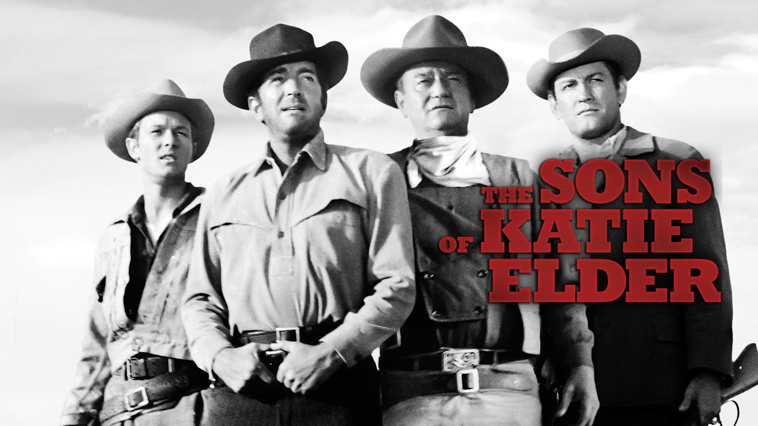 The Sons of Katie Elder