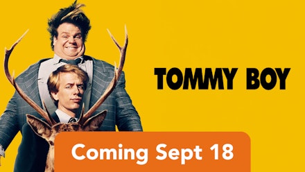 Tommy Boy