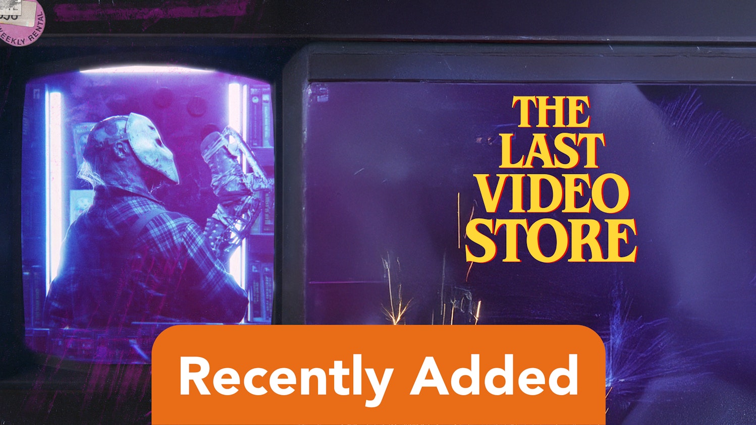 The Last Video Store