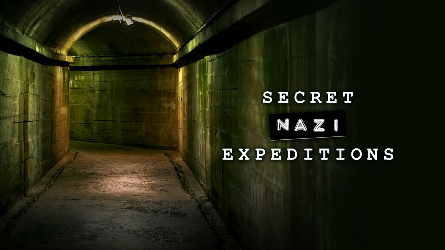 Secret Nazi Expeditions