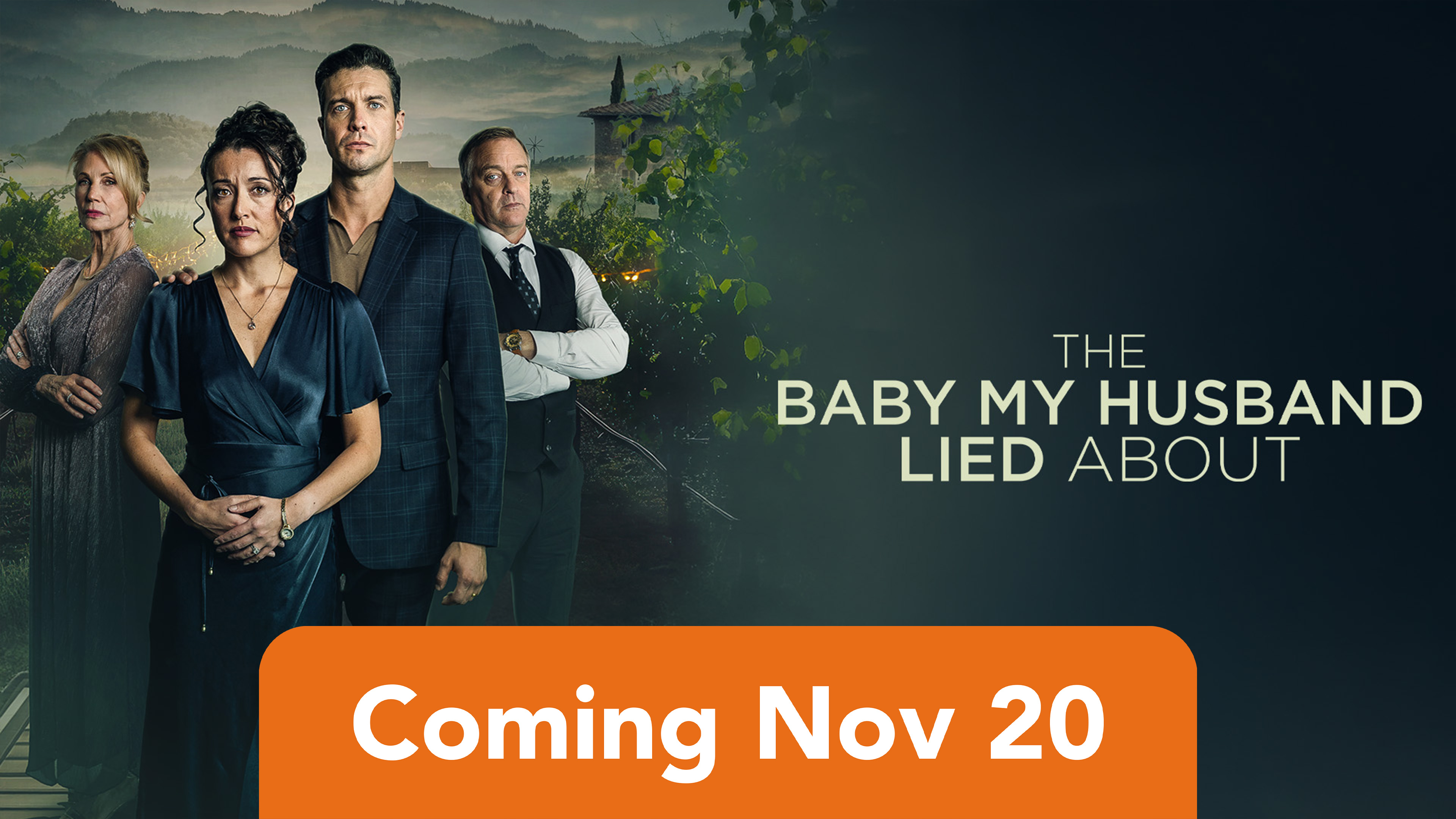 The Baby My Husband Lied About