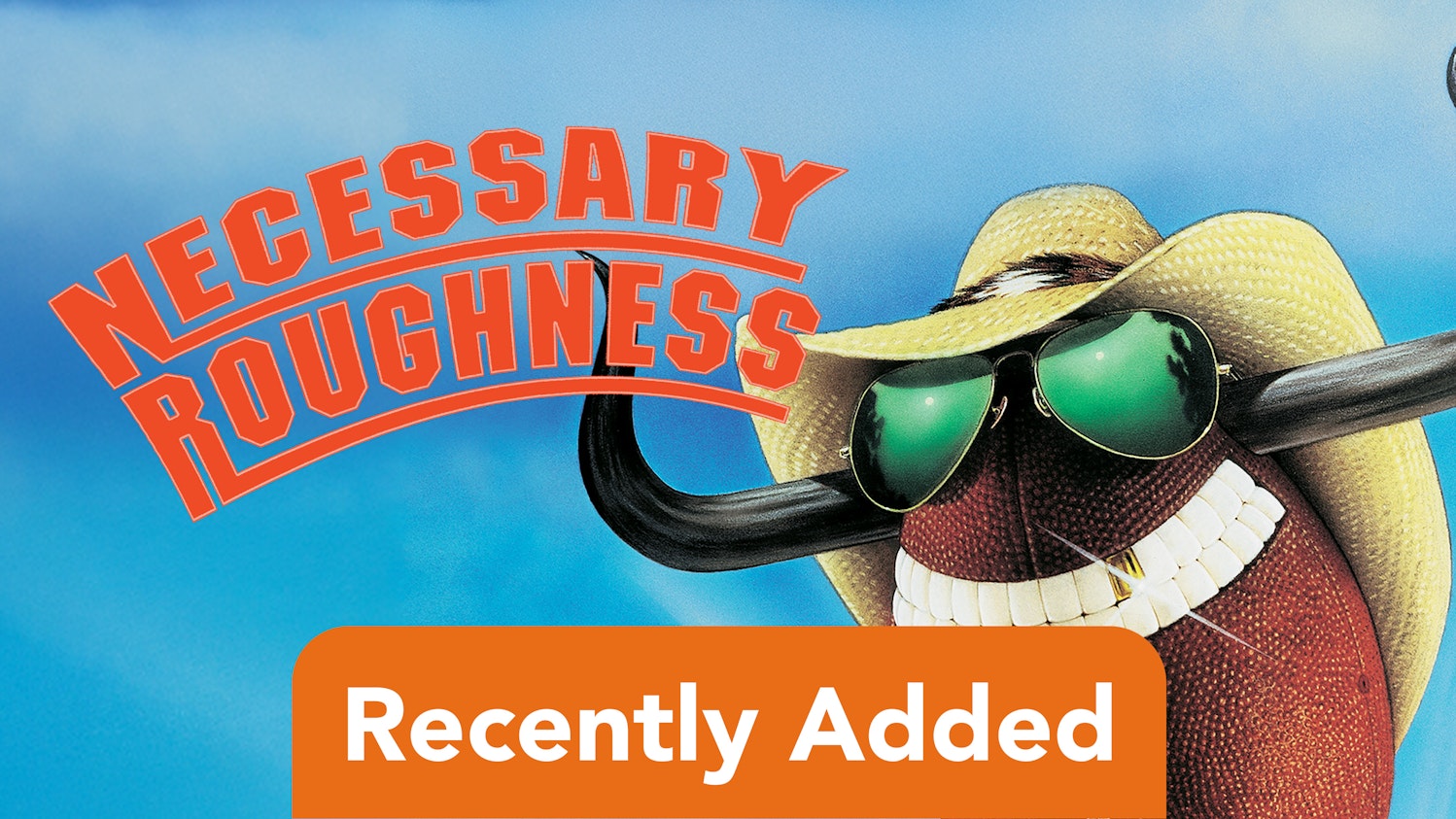 Necessary Roughness