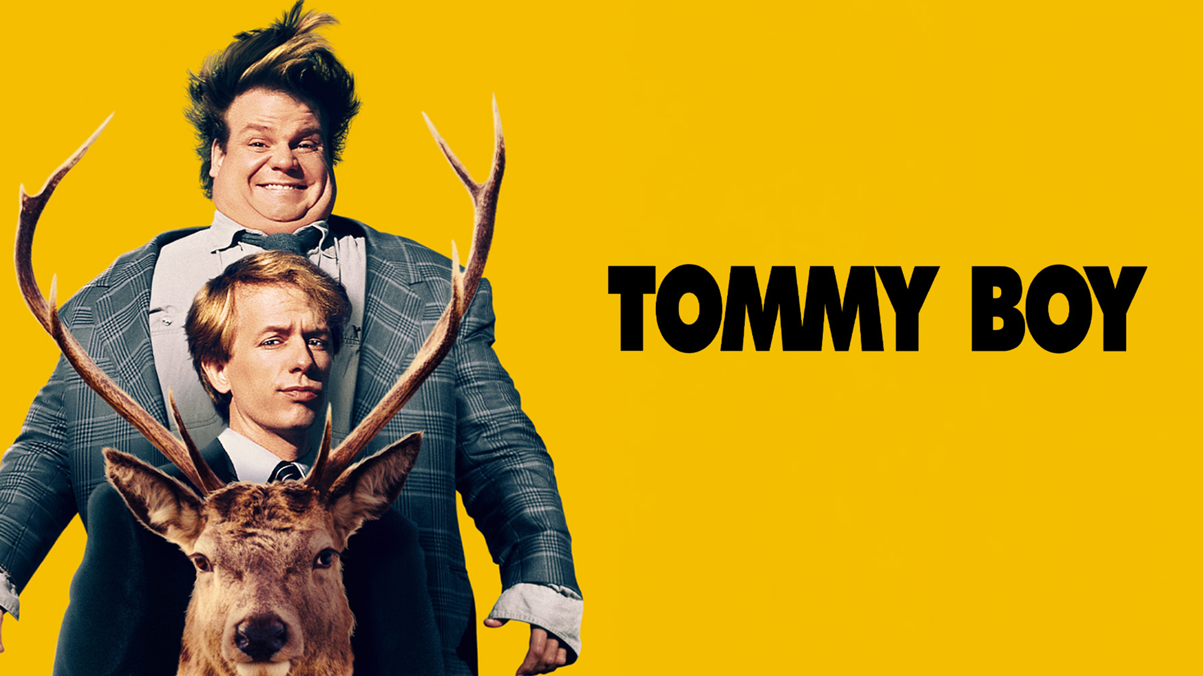 Tommy Boy