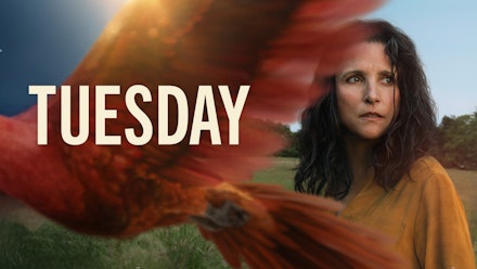 Tuesday