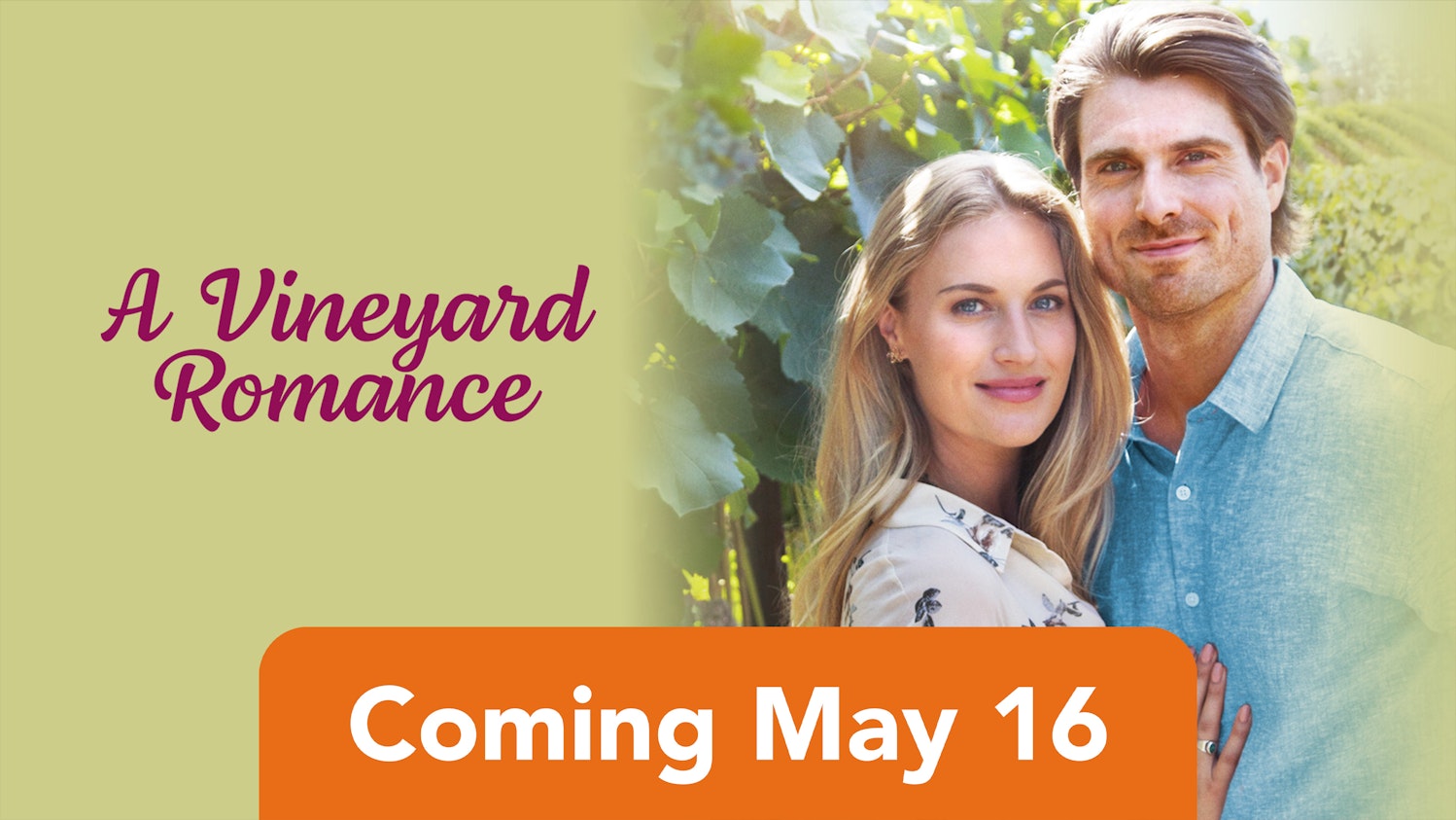 A Vineyard Romance