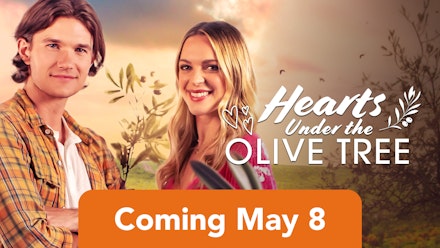 Hearts Under the Olive Tree