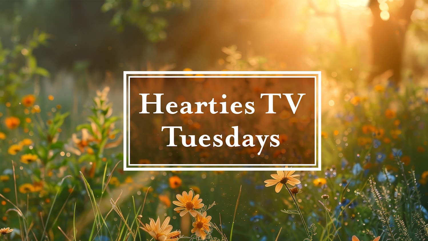 The Edify Show: Hearties Tuesday