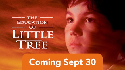 Education of Little Tree; The