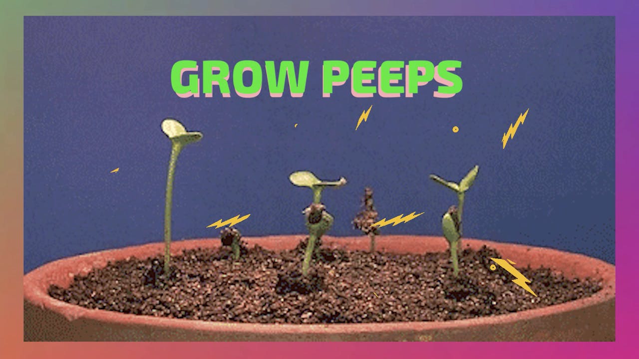 GROW PEEPS