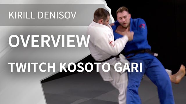 Overview | Twitch Kosoto Gari | Kiril...