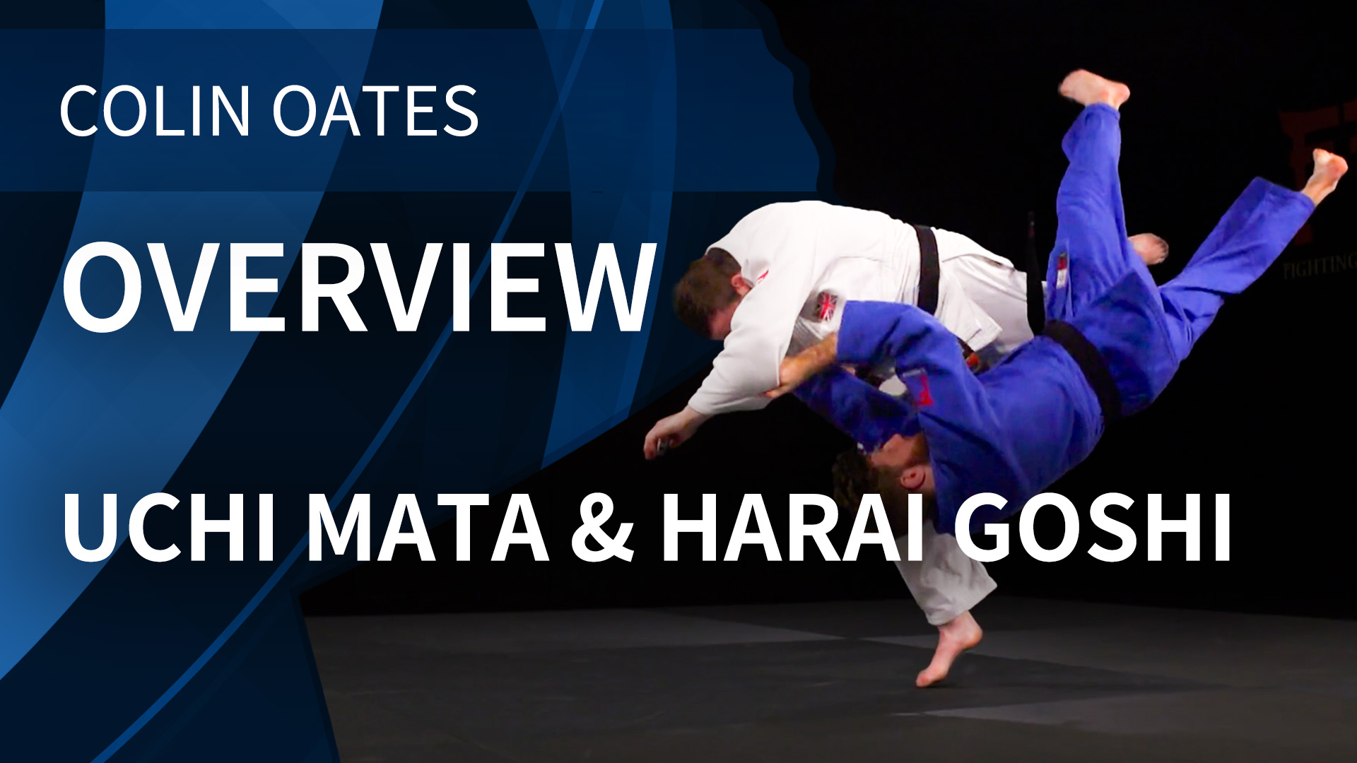 Overview | Uchi Mata & Harai Goshi | Colin Oates