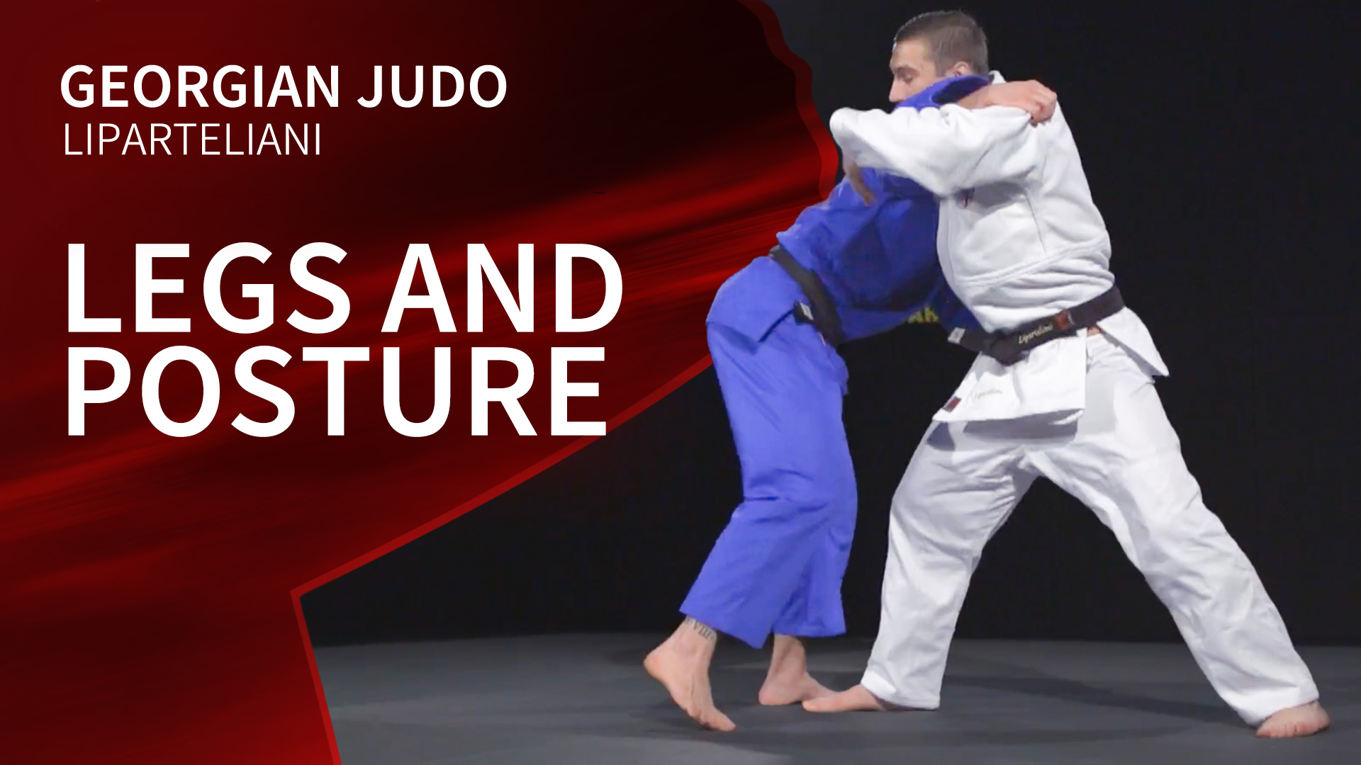 Legs and posture | Liparteliani