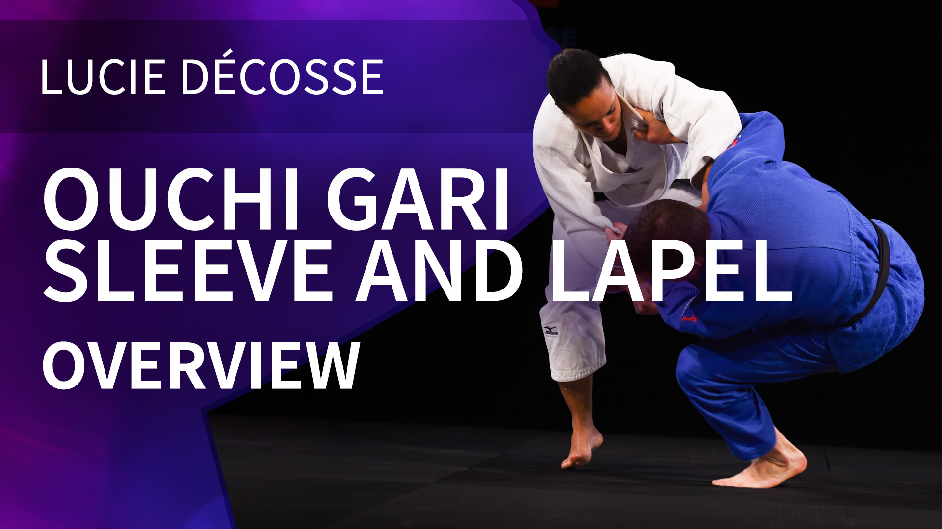 Ouchi gari | Sleeve and lapel | Overview | Lucie Décosse