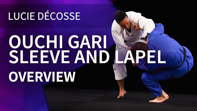 Ouchi gari | Sleeve and lapel | Overv...