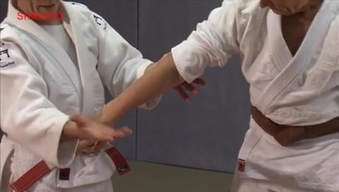 Standing Locks | Shinjido