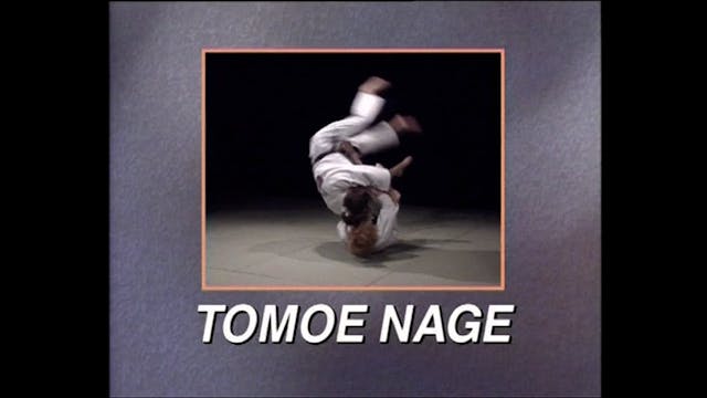 Yoko Tomoe Nage | Adams & Briggs - Mo...