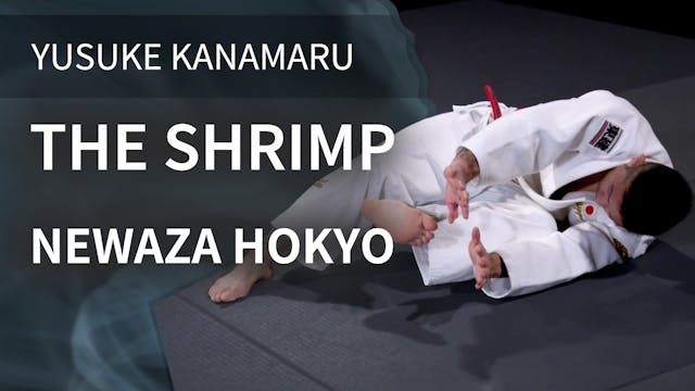 The Shrimp | Newaza Hokyo | Yusuke Ka...