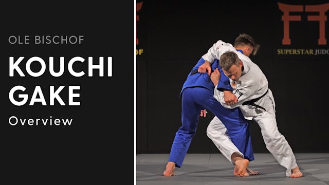 Kouchi gake - Overview | Ole Bischof