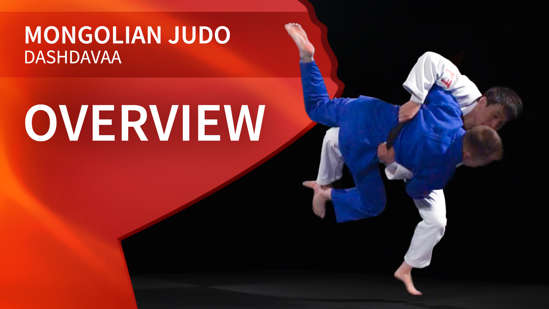 Overview | Dashdavaa