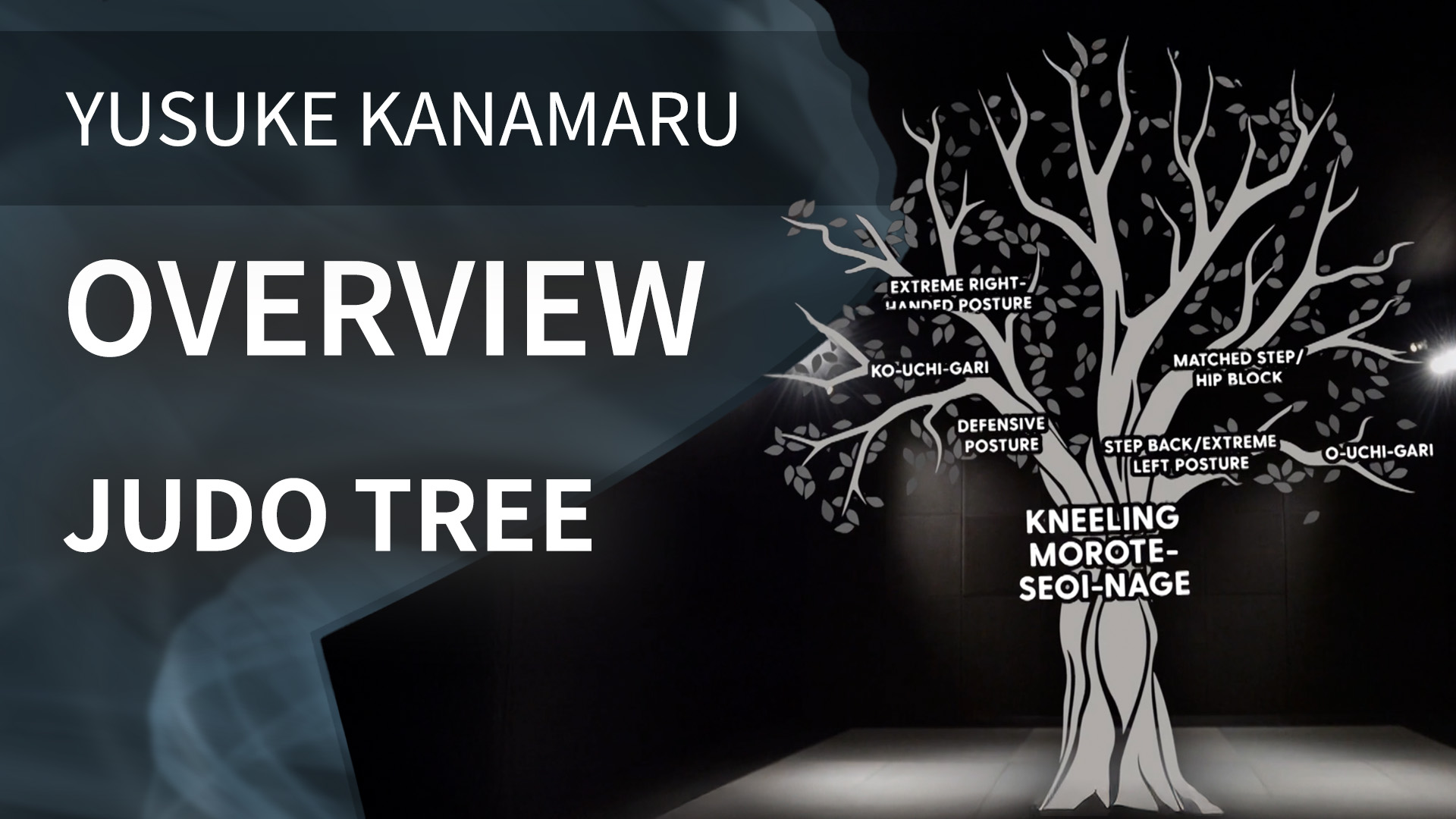 Overview | Judo Tree | Yusuke Kanamaru