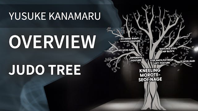 Overview | Judo Tree | Yusuke Kanamaru