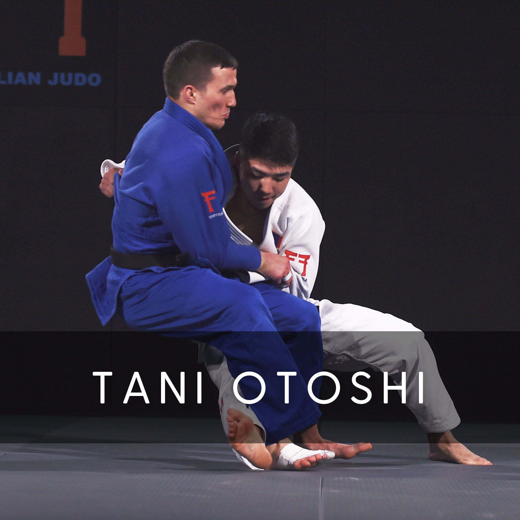 Tani otoshi