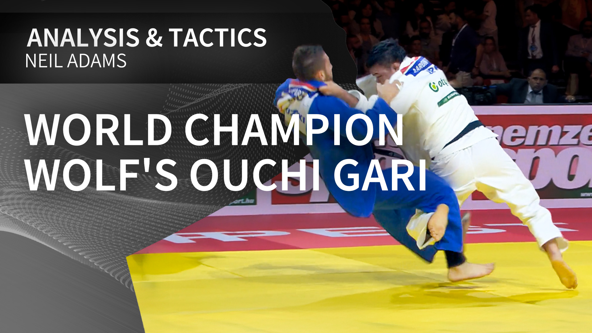 World Champion Wolf's Ouchi gari | Neil Adams