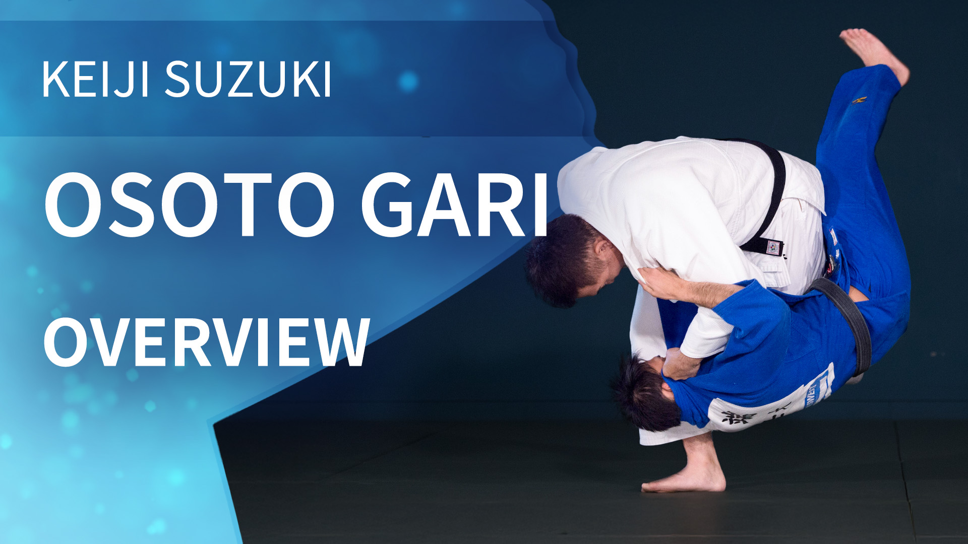 Overview | Osoto Gari | Keiji Suzuki