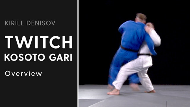 Overview | Twitch Kosoto Gari | Kirill Denisov