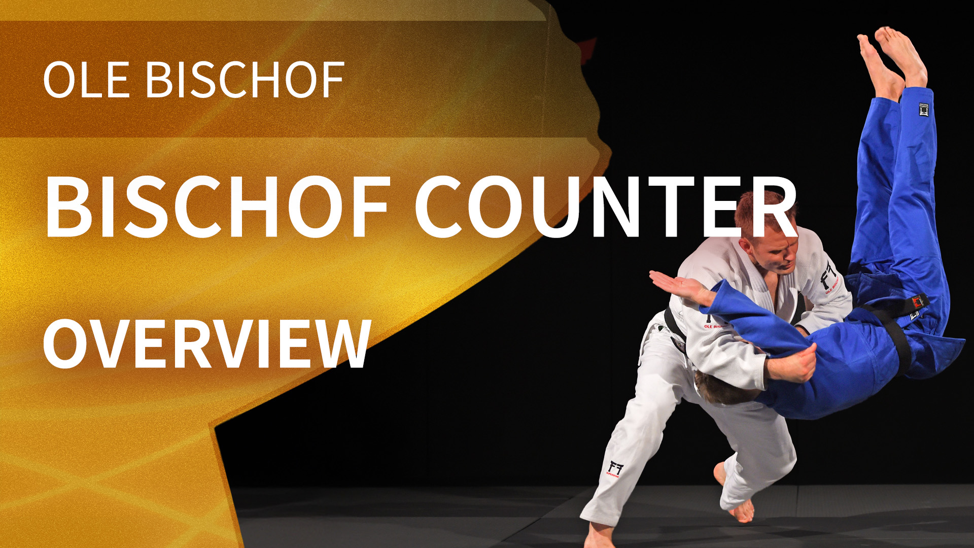 Bischof Counter - Overview | Ole Bischof