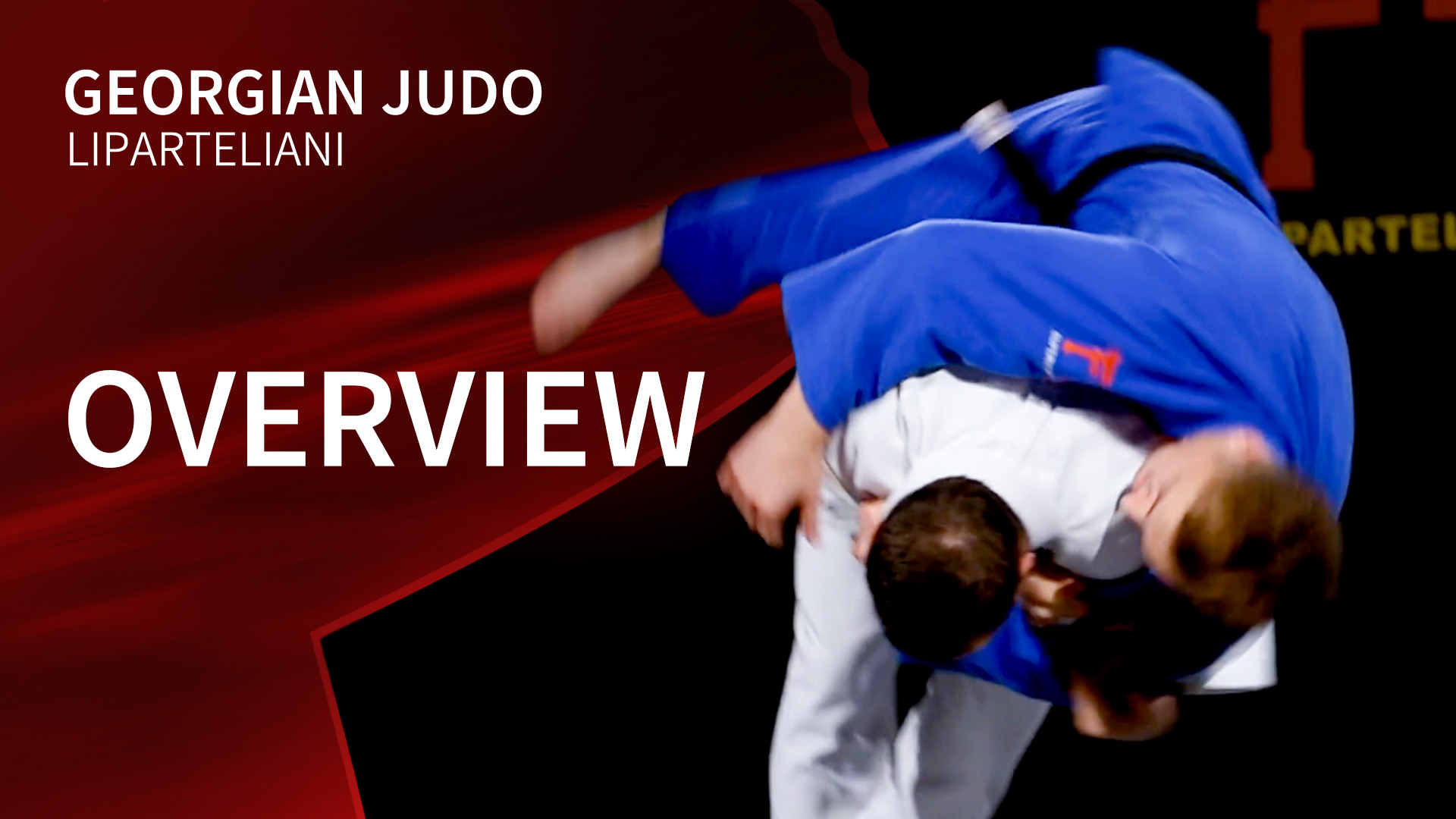 Overview | Liparteliani