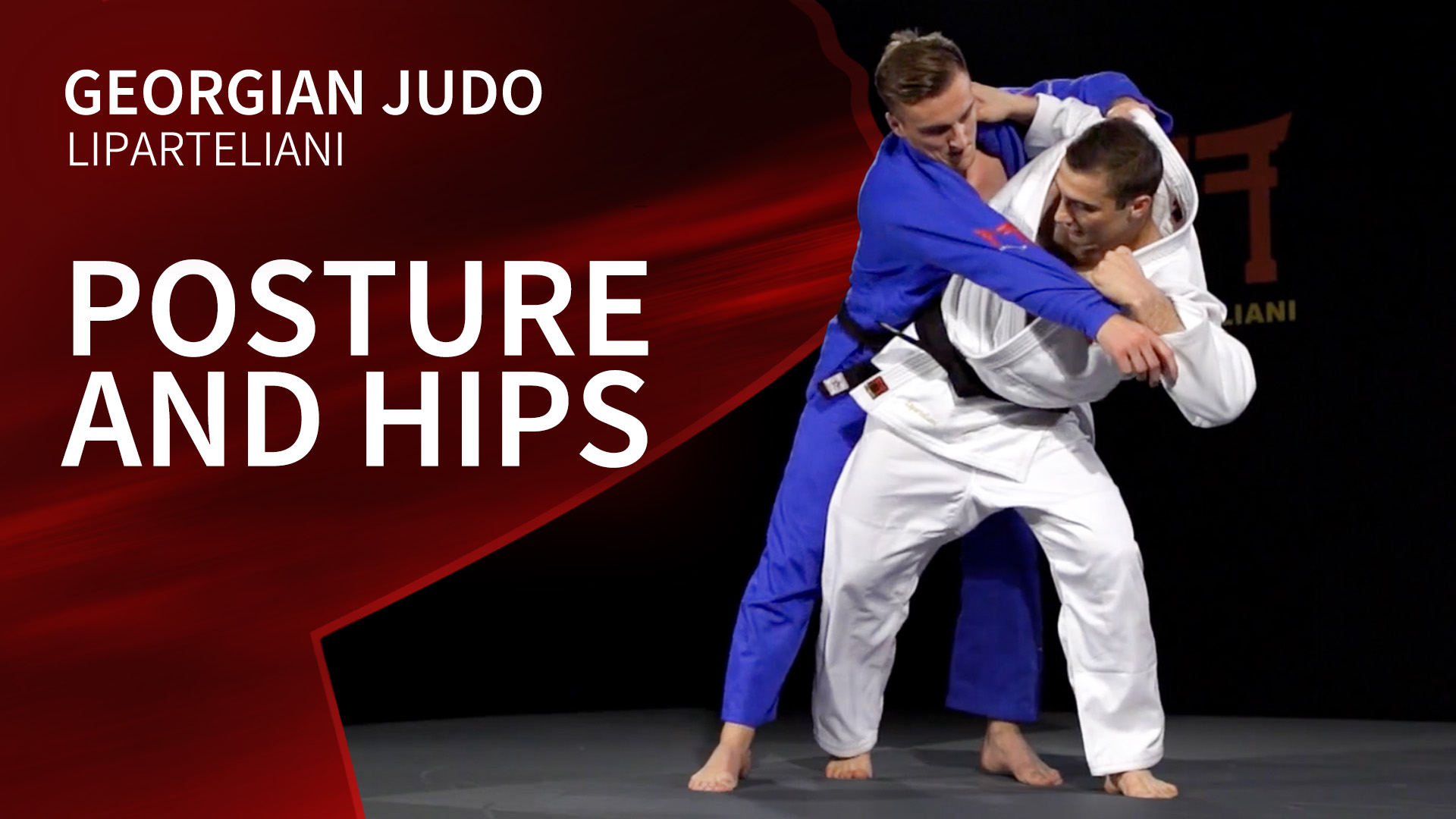 Posture and hips | Liparteliani