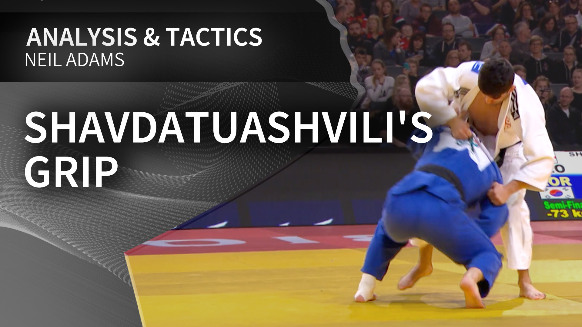 Shavdatuashvili's grip | Neil Adams