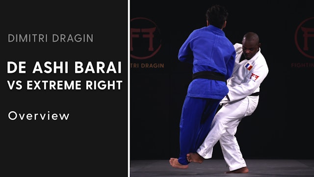 Overview | De Ashi Barai VS Extreme Right | Dimitri Dragin