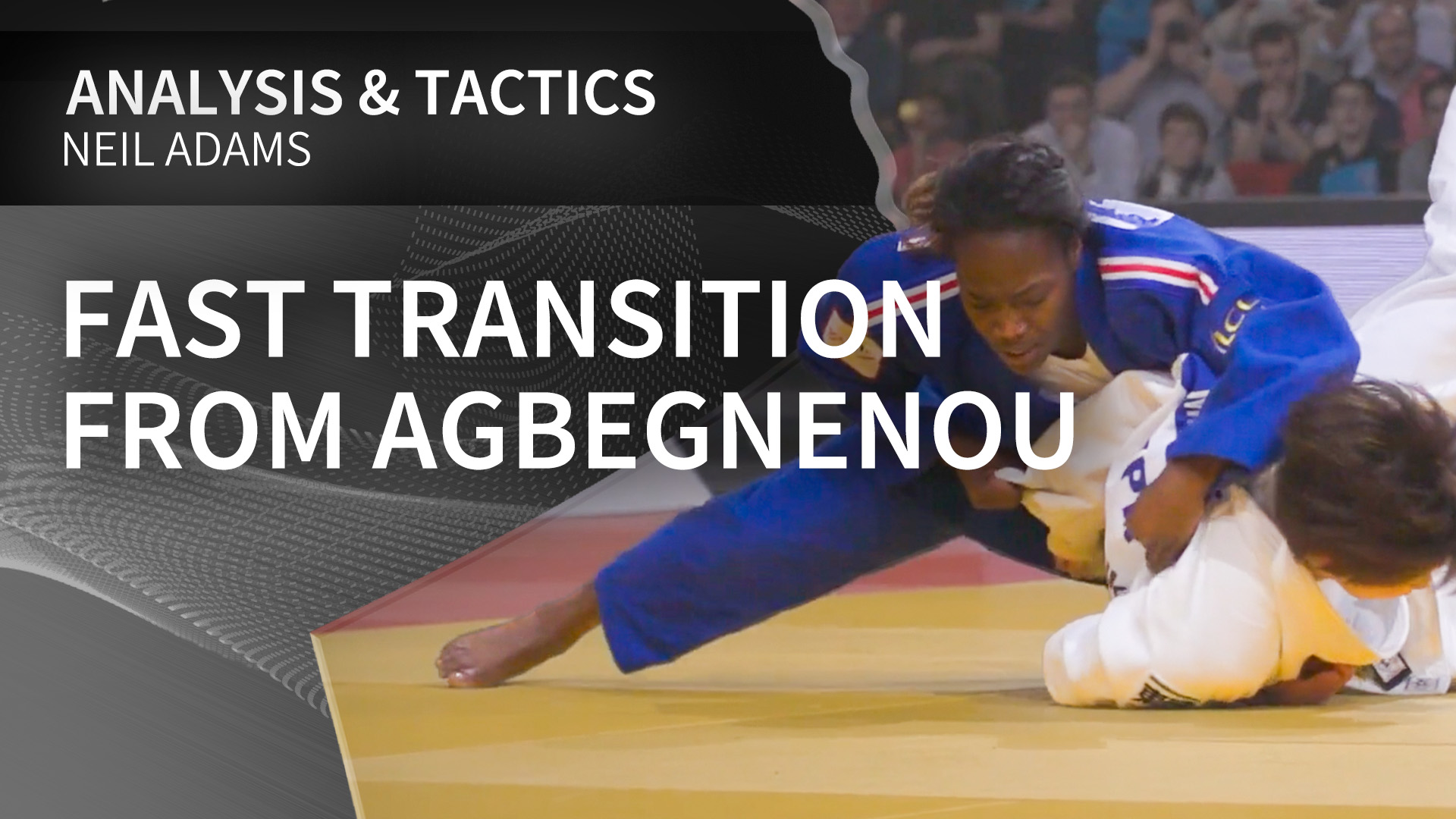 Fast transition from Agbegnenou | Neil Adams