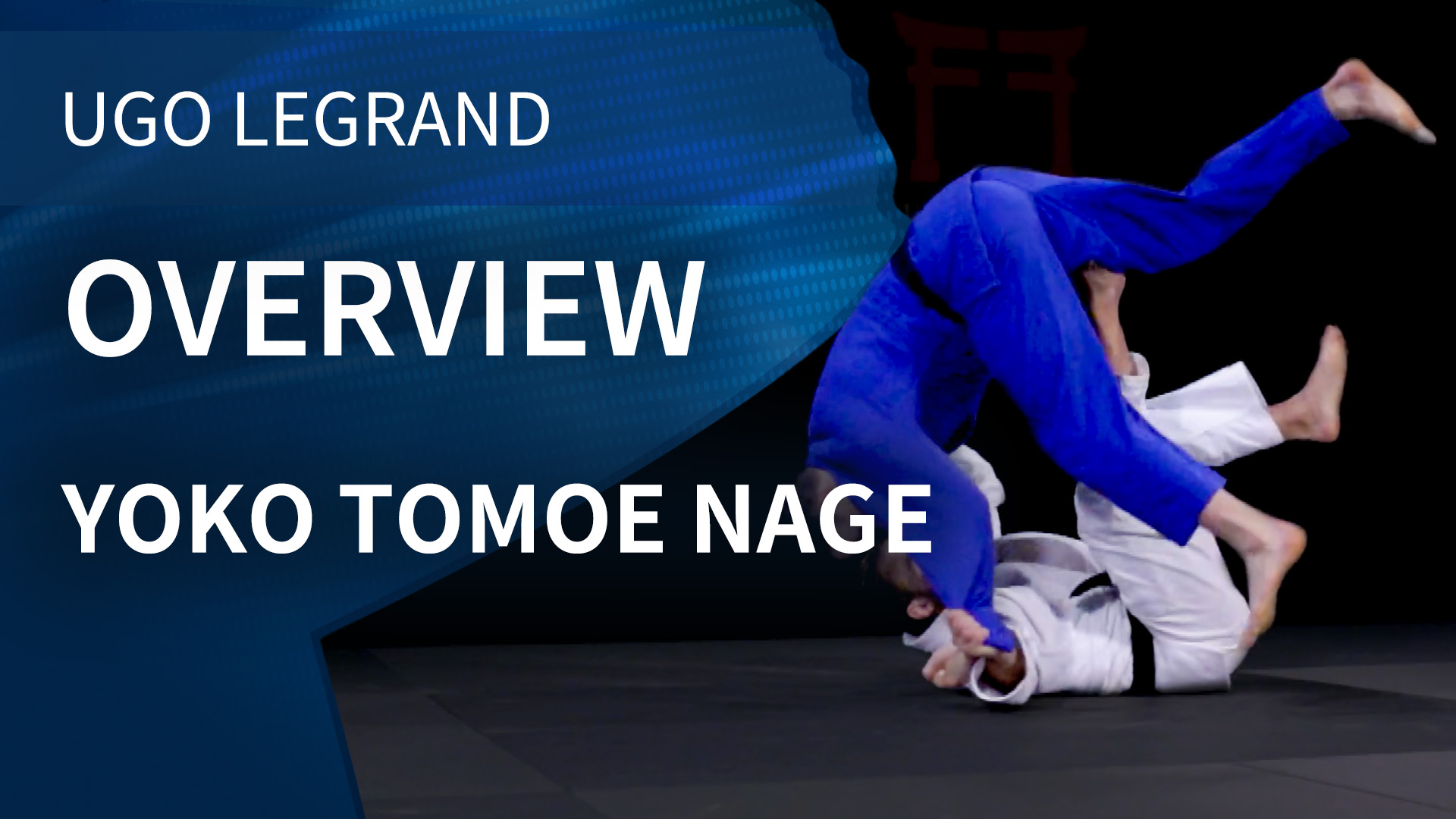 Overview | Yoko Tomoe Nage | Ugo Legrand