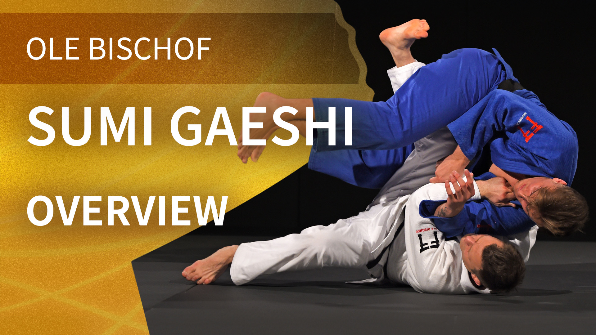 Overview | Sumi Gaeshi | Ole Bischof