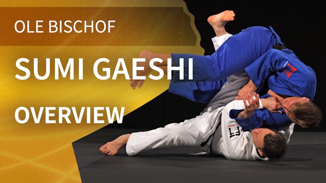 Overview | Sumi Gaeshi | Ole Bischof