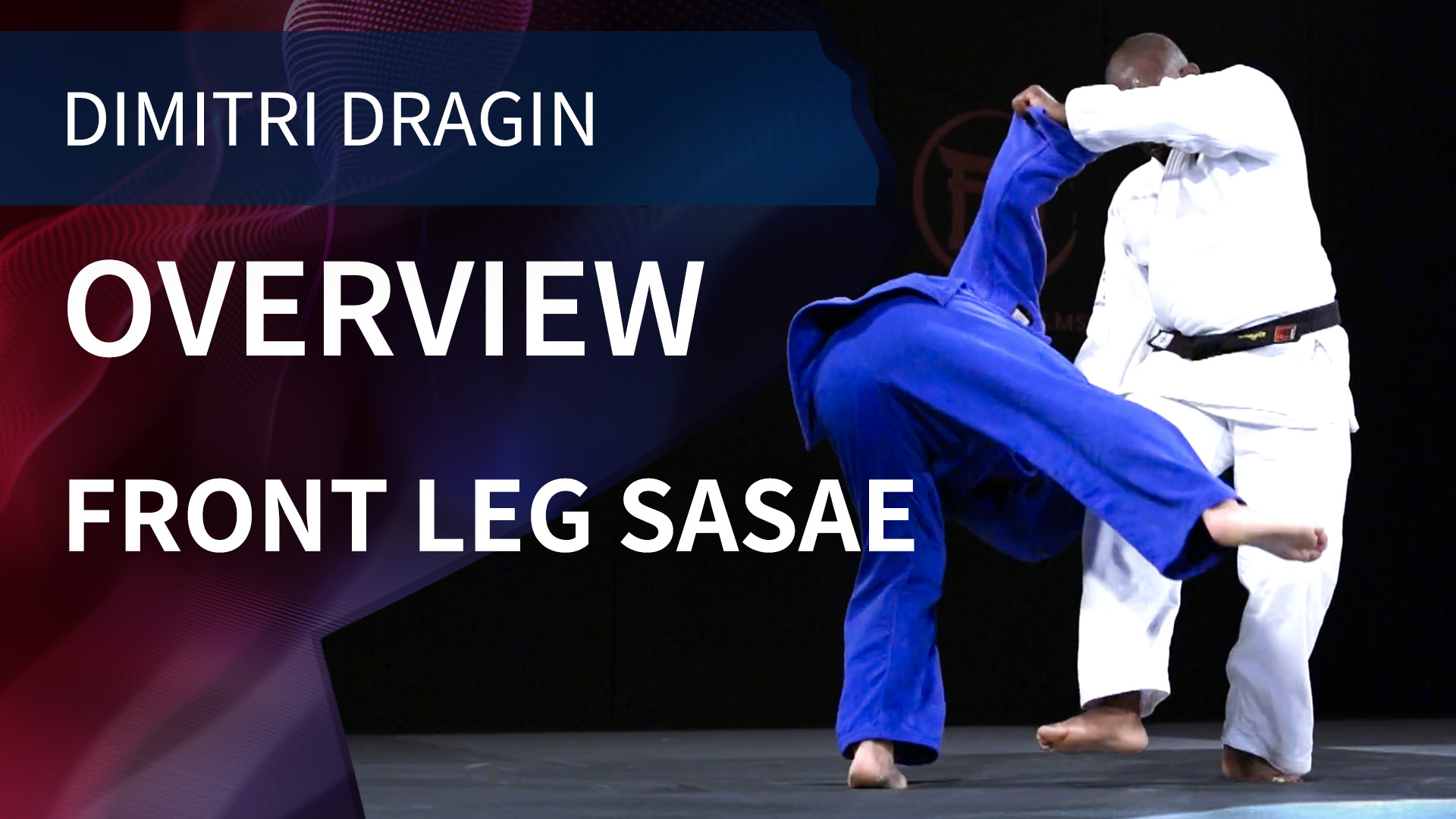 Overview | Front Leg Sasae | Dimitri Dragin