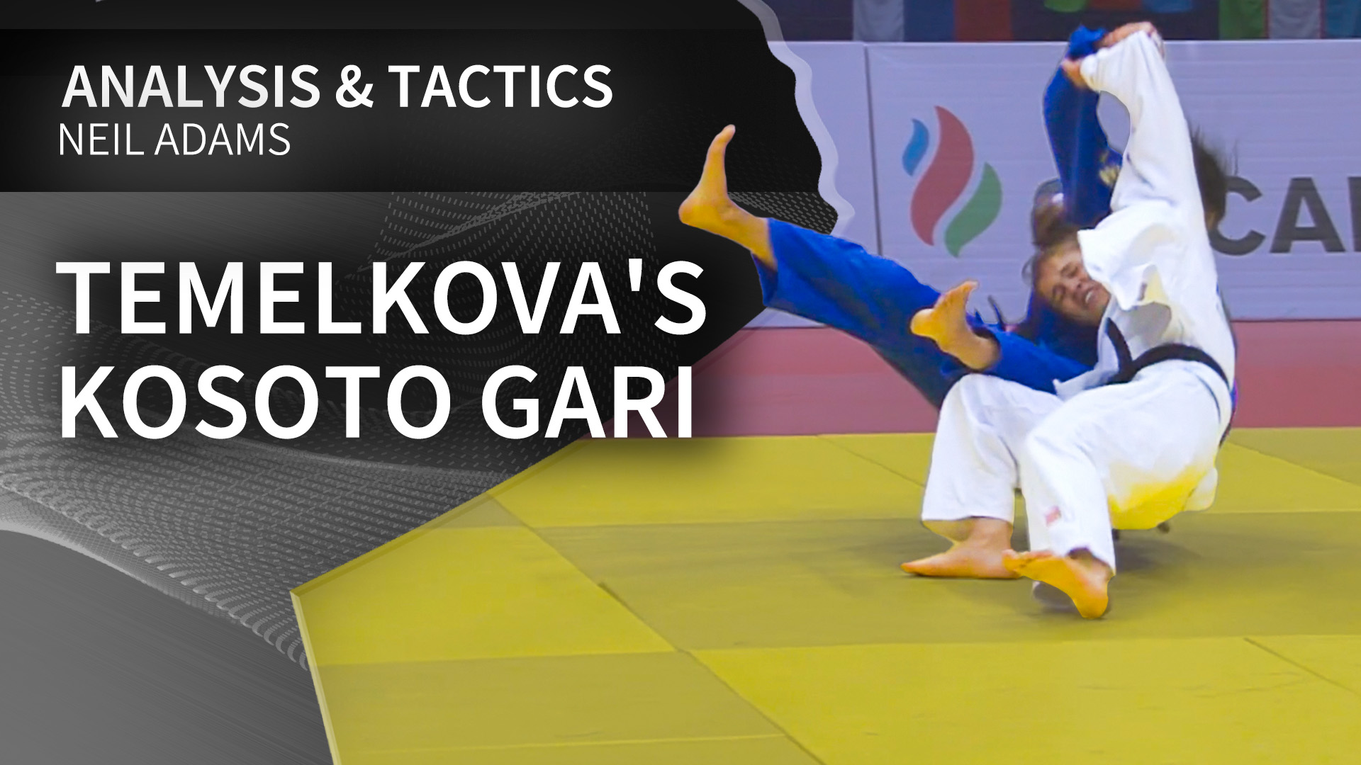 Temelkova's Kosoto gari | Neil Adams