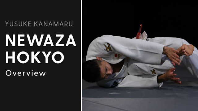 Overview | Newaza Hokyo | Yusuke Kanamaru