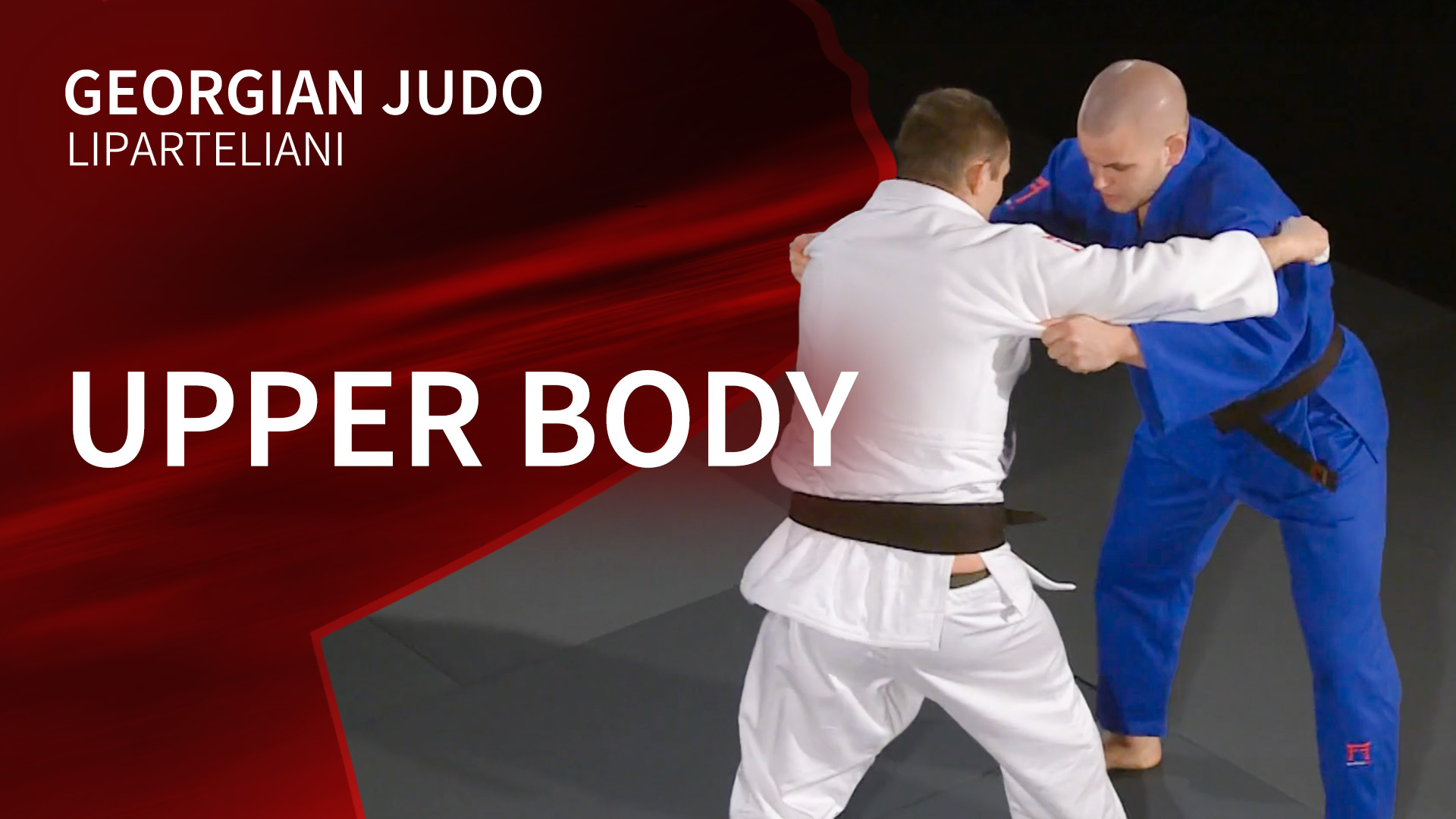 Upper body | Liparteliani