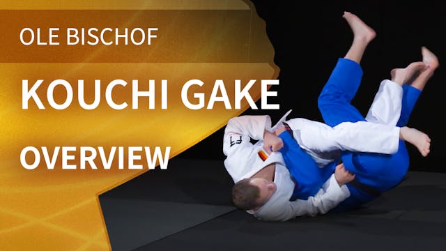 Kouchi gake - Overview | Ole Bischof