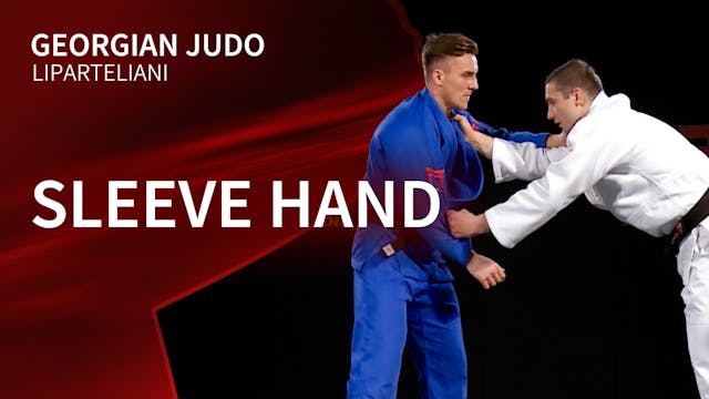 Sleeve hand | Liparteliani