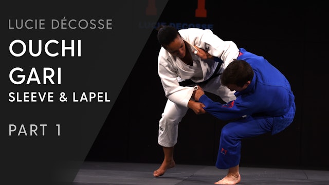 Ouchi gari | Sleeve and lapel | Overview | Lucie Décosse