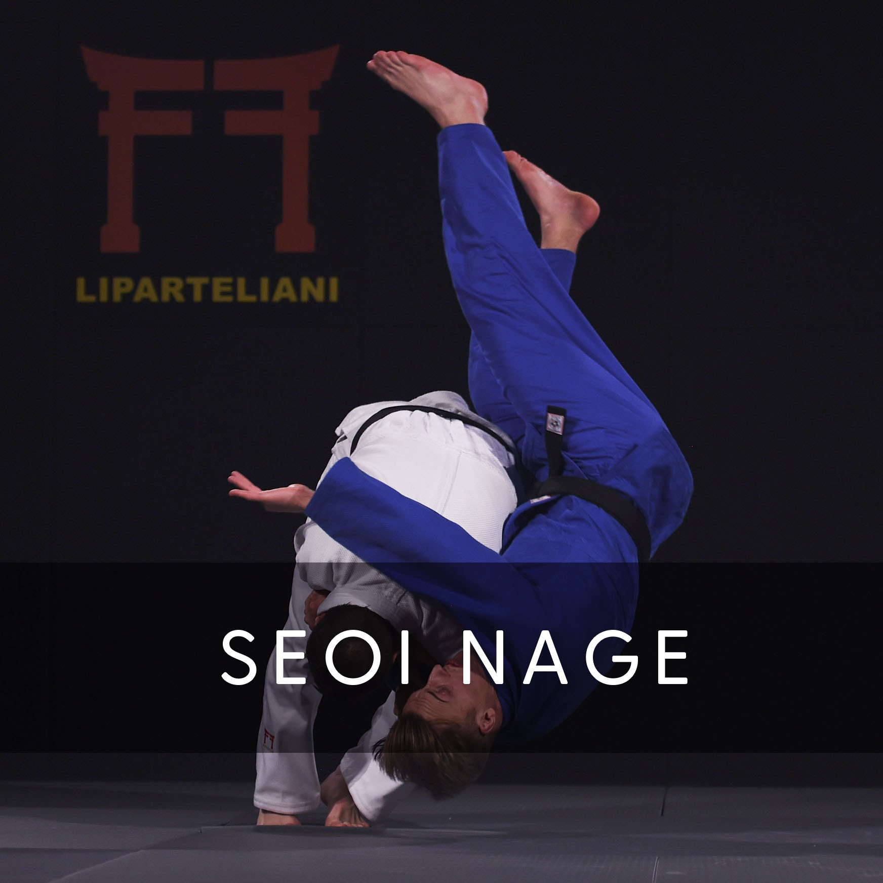 Seoi Nage